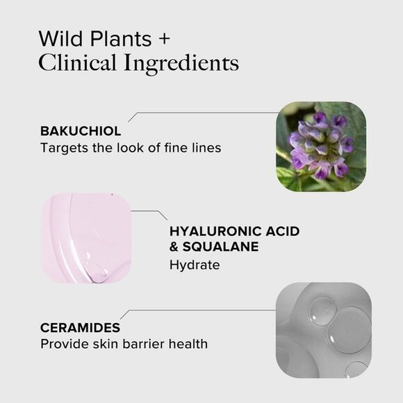 Alpyn Beauty PlantGenius Melt Moisturizer - Picture 2 of 10